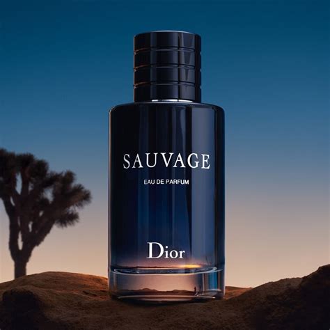 dior sauvage ricaricabile|dior sauvage cologne top notes.